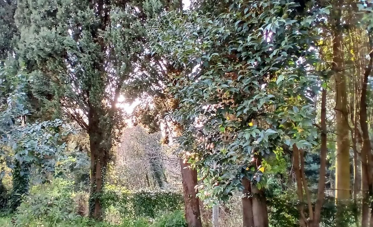 Il Carnasciale Pieve Di Camaiore - Stalla 0*,  Itálie