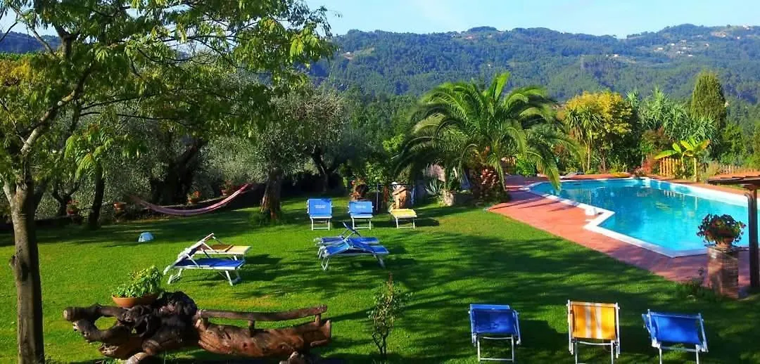 Holiday home Il Carnasciale Pieve Di Camaiore - Stalla Italy