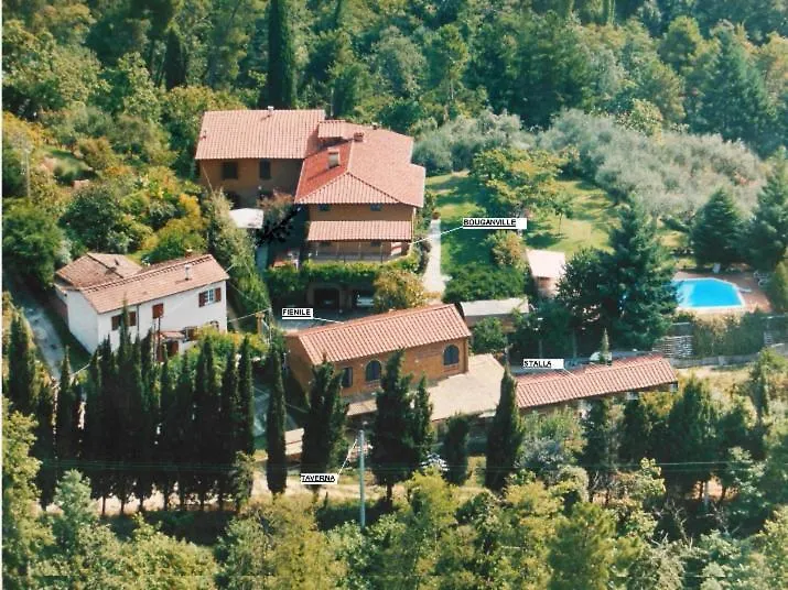 Il Carnasciale Pieve Di Camaiore - Stalla